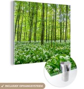 MuchoWow® Glasschilderij 20x20 cm - Schilderij acrylglas - Bos - Bomen - Groen - Foto op glas - Schilderijen