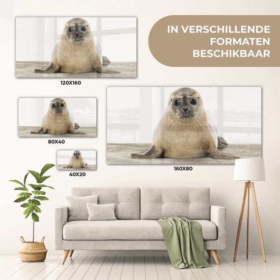 Peinture sur Verre - Chambre de bébé - Sceau - Chambre - Salon - 80x40 cm - Peintures sur Verre Peintures - Photo sur Glas