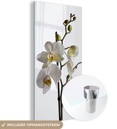 MuchoWow® Glasschilderij 20x40 cm - Schilderij acrylglas - Witte mot orchidee - Foto op glas - Schilderijen