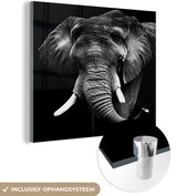 MuchoWow® Glasschilderij 50x50 cm - Schilderij acrylglas - Olifant - Tanden - Zwart - Wit - Foto op glas - Schilderijen