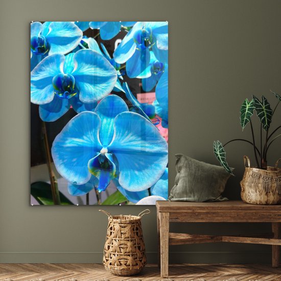 MuchoWow® Peinture sur Verre - Orchidées Bleues avec une couleur pénétrante - 90x120 cm - Peintures sur Verre Acrylique - Photo sur Glas