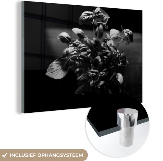 MuchoWow® Glasschilderij 30x20 cm - Schilderij acrylglas - Een prachtige basilicumplant op de vensterbank - zwart wit - Foto op glas - Schilderijen