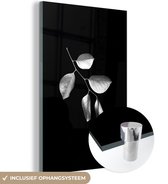 MuchoWow® Glasschilderij 60x90 cm - Schilderij acrylglas - Tak met bladeren op een zwarte achtergrond - zwart wit - Foto op glas - Schilderijen