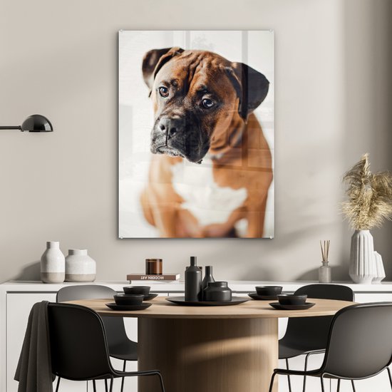 Un Boxer air triste Plexiglas 60x80 cm - Tirage photo sur Glas (décoration murale plexiglas)
