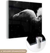 MuchoWow® Peinture sur verre 50x50 cm - Peinture sur verre acrylique - Gros plan d'un vautour sur fond noir - noir et blanc - Photo sur verre - Peintures