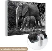 MuchoWow® Glasschilderij 120x80 cm - Schilderij acrylglas - Wandelende baby olifant met zijn moeder - zwart wit - Foto op glas - Schilderijen