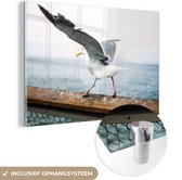 MuchoWow® Glasschilderij 120x80 cm - Schilderij acrylglas - Dieren - Vogel - Meeuw - Foto op glas - Schilderijen