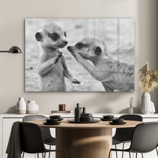 MuchoWow® Peinture sur verre 120x80 cm - Peinture acrylique sur verre - Deux suricates - noir et blanc - Photo sur verre - Peintures
