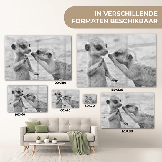 MuchoWow® Peinture sur verre 120x80 cm - Peinture acrylique sur verre - Deux suricates - noir et blanc - Photo sur verre - Peintures