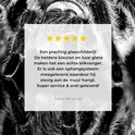 Product afbeelding  7