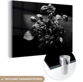 MuchoWow® Glasschilderij 180x120 cm - Schilderij acrylglas - Een prachtige basilicumplant op de vensterbank - zwart wit - Foto op glas - Schilderijen