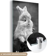 MuchoWow® Glasschilderij 40x60 cm - Schilderij acrylglas - Baby konijn in een emmer - zwart wit - Foto op glas - Schilderijen