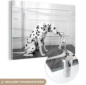 MuchoWow® Glasschilderij 60x40 cm - Schilderij acrylglas - Een dalmatiër met haar pup - zwart wit - Foto op glas - Schilderijen