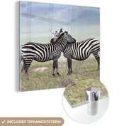 MuchoWow® Glasschilderij 50x50 cm - Schilderij acrylglas - Zebra - Knuffel - Savanne - Foto op glas - Schilderijen