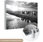 MuchoWow® Glasschilderij 30x20 cm - Schilderij acrylglas - Koeien tijdens een zonsondergang - zwart wit - Foto op glas - Schilderijen