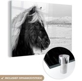 MuchoWow® Glasschilderij 60x40 cm - Schilderij acrylglas - Paard - Sneeuw - IJsland - Foto op glas - Schilderijen