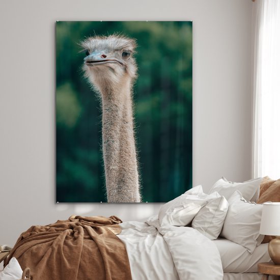® Glasschilderij 120x160 cm - Schilderij acrylglas - Close-up van een struisvogel - Foto op glas - Muurdecoratie woonkamer - Wanddecoratie slaapkamer - Schilderijen