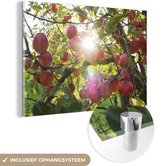 MuchoWow® Peinture sur verre 150x100 cm - Peinture acrylique sur verre - Pomme - Arbre - Fruit - Photo sur verre - Peintures