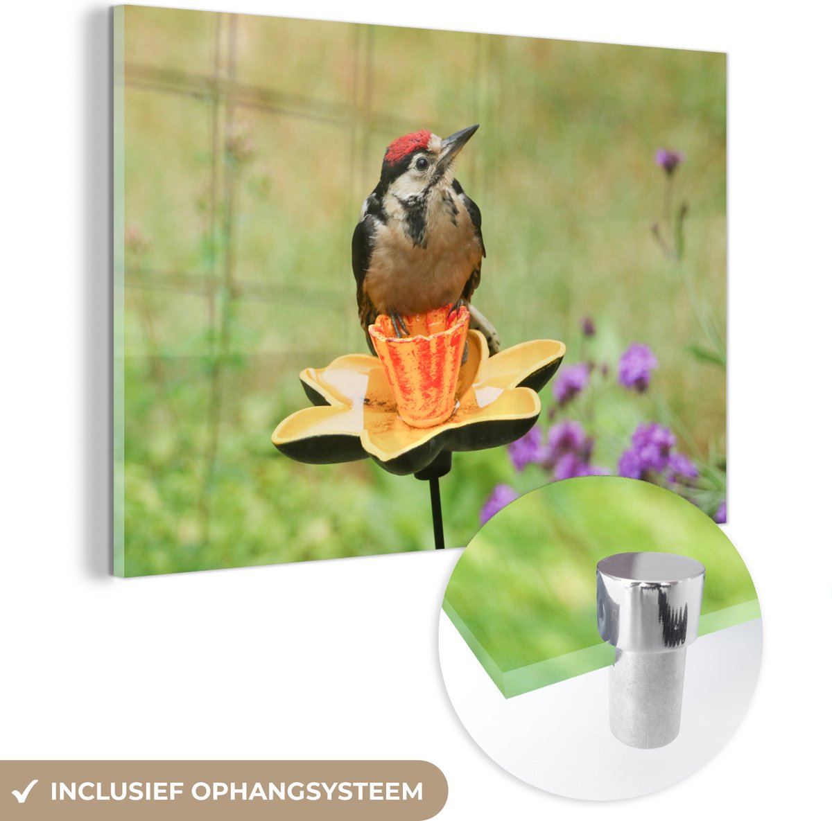 ® Glasschilderij 150x100 cm - Schilderij acrylglas - Een baby grote bonte specht op een bloem - Foto op glas - Muurdecoratie woonkamer - Wanddecoratie slaapkamer - Schilderijen