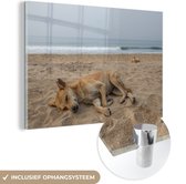 MuchoWow® Glasschilderij 90x60 cm - Schilderij acrylglas - Honden slapen op het strand - Foto op glas - Schilderijen