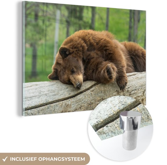 MuchoWow® Peinture sur verre 30x20 cm - Peinture sur verre acrylique - ours brun dormant sur une souche d'arbre - Photo sur verre - Peintures