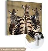 MuchoWow® Glasschilderij 40x30 cm - Schilderij acrylglas - Zebra's in de Savanne - Foto op glas - Schilderijen