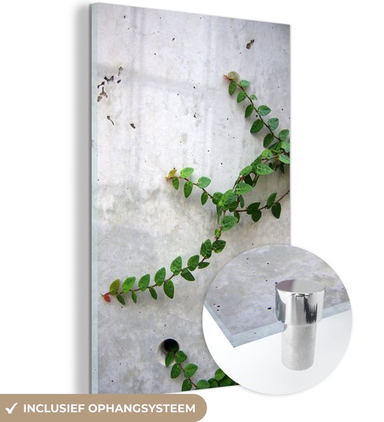 MuchoWow® Glasschilderij 20x30 cm - Schilderij acrylglas - Klimplant op een betonnen muur - Foto op glas - Schilderijen