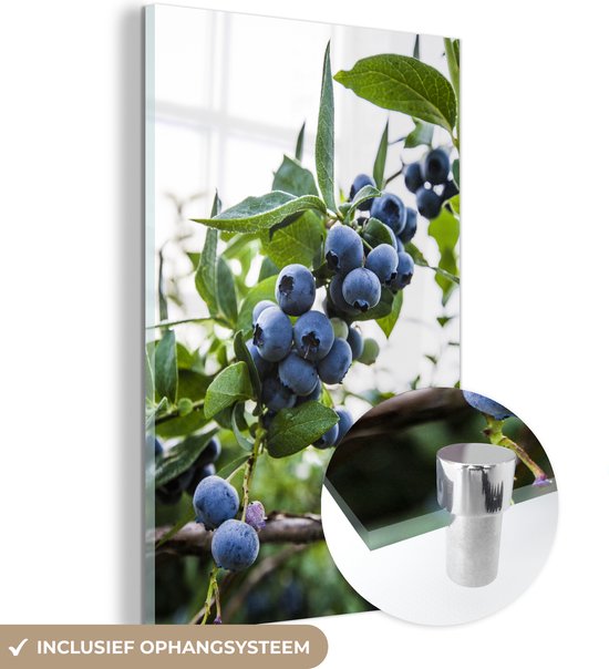 MuchoWow® Glasschilderij 20x30 cm - Schilderij acrylglas - Fruit - Plant - Blauw - Foto op glas - Schilderijen