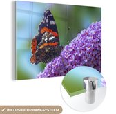 MuchoWow® Glasschilderij 30x20 cm - Schilderij acrylglas - Admiraalvlinder op een vlinderstruik - Foto op glas - Schilderijen