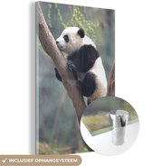 MuchoWow® Glasschilderij 40x60 cm - Schilderij acrylglas - Panda - Dier - Boom - Foto op glas - Schilderijen