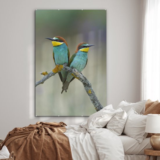 MuchoWow® Tableau sur Verre - Deux Mignons Guêpiers Regarder Ailleurs - 100x150 cm - Peintures sur Verre Acrylique - Photo sur Glas