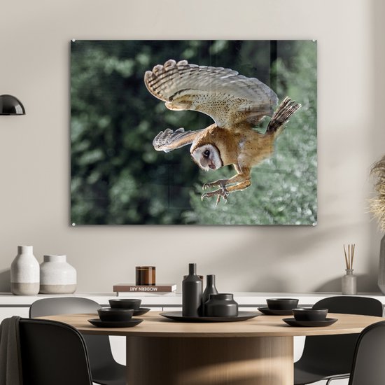 Peinture sur Verre - Hibou Attaquant - 80x60 cm - Peintures sur Verre Peintures - Photo sur Glas