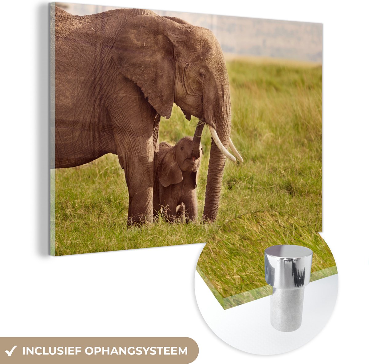 ® Glasschilderij 90x60 cm - Schilderij acrylglas - Baby olifant bij zijn moeder in Kenia - Foto op glas - Muurdecoratie woonkamer - Wanddecoratie slaapkamer - Schilderijen
