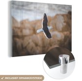 MuchoWow® Glasschilderij 60x40 cm - Schilderij acrylglas - Meeuw - Vogel - Lucht - Foto op glas - Schilderijen