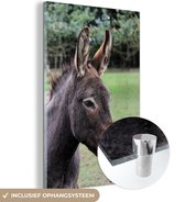 MuchoWow® Peinture sur Verre - Âne Brun - 80x120 cm - Peintures sur Verre Acrylique - Photo sur Glas