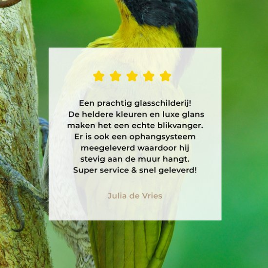 MuchoWow® Peinture sur verre 100x150 cm - Peinture sur verre acrylique - Un beau pic terrestre à fourrure jaune grimpe verticalement sur un arbre - Photo sur verre - Peintures