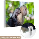 MuchoWow® Peinture sur verre 60x40 cm - Peinture sur verre acrylique - Animaux - Singe - Forêt - Portrait - Photo sur verre - Peintures