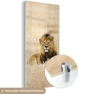 MuchoWow® Peinture sur Verre - Un lion dans les hautes herbes du Parc National du Serengeti en Tanzanie - 40x80 cm - Peintures sur Verre Peintures - Photo sur Glas