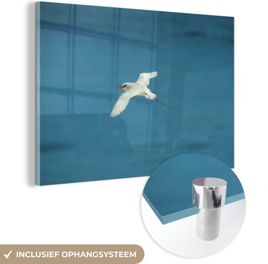 MuchoWow® Glasschilderij 90x60 cm - Schilderij acrylglas - Roodstaartkeerkringvogel vliegt over de zee - Foto op glas - Schilderijen