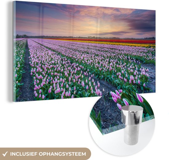 MuchoWow® Glasschilderij 40x20 cm - Schilderij acrylglas - Tulpenvelden in Hillegom in Nederland tijdens zonsondergang - Foto op glas - Schilderijen