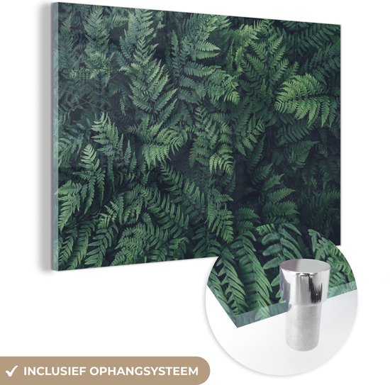 MuchoWow® Peinture sur verre 60x40 cm - Peinture sur verre acrylique - Vue de fougères vertes - Photo sur verre - Peintures