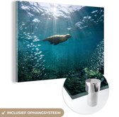 MuchoWow® Glasschilderij 90x60 cm - Schilderij acrylglas - Zeeleeuw onder water - Foto op glas - Schilderijen