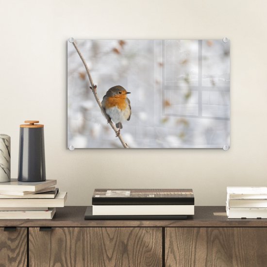 Robin sur une fine branche en plexiglas d'hiver 30x20 cm - petit - Tirage photo sur Glas (décoration murale en plexiglas)