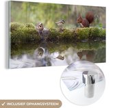 MuchoWow® Peinture sur Verre - Animaux de la Forêt - Water - Mousse - 120x60 cm - Peintures sur Verre Acrylique - Photo sur Glas
