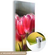 MuchoWow® Glasschilderij 60x120 cm - Schilderij acrylglas - Roze tulpenbloemen - Foto op glas - Schilderijen