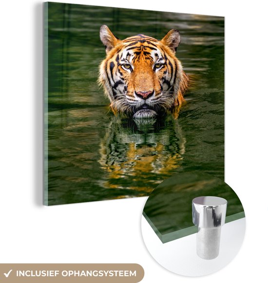 MuchoWow® Glasschilderij 50x50 cm - Schilderij acrylglas - Tijger in het water - Foto op glas - Schilderijen