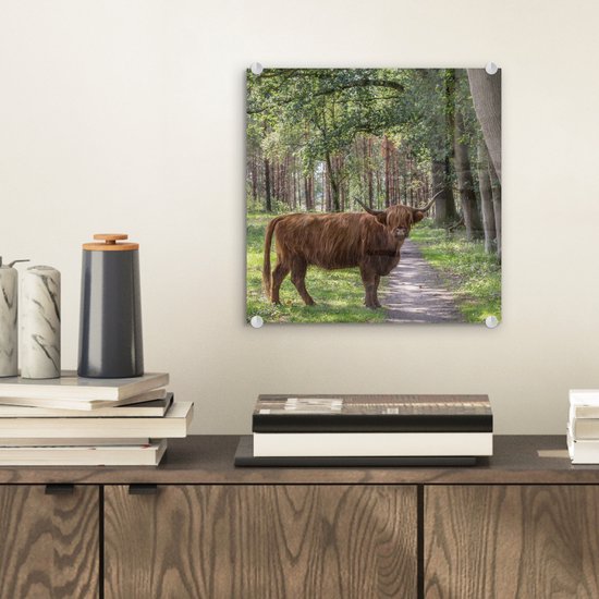 MuchoWow® Peinture sur verre 20x20 cm - Peinture sur verre acrylique - Forêt - Highland écossais - Lumière - Photo sur verre - Peintures