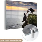 MuchoWow® Glasschilderij 30x20 cm - Schilderij acrylglas - Twee papegaaiduikers bij het water tijdens een zonsondergang - Foto op glas - Schilderijen