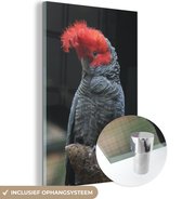 MuchoWow® Glasschilderij 120x180 cm - Schilderij acrylglas - Gekleurde kaketoe op een tak - Foto op glas - Schilderijen