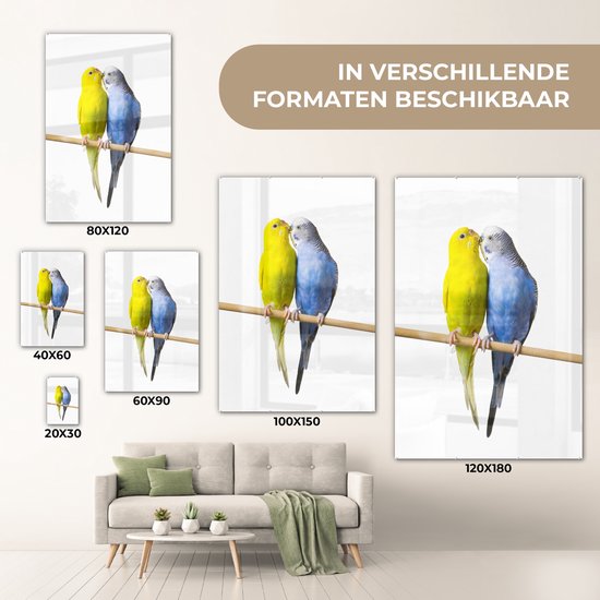 MuchoWow® Tableau sur Verre - Deux perruches aimantes sur fond blanc - 120x180 cm - Peintures sur Verre Acrylique - Photo sur Glas